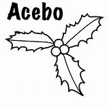Acebo Hojas sketch template