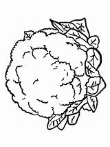 Cauliflower Coloring Pages Lettuce Drawing Vegetables Color Printable Kids Recommended Plants Getcolorings Getdrawings Pag sketch template