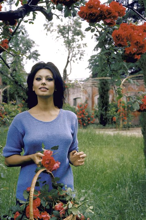 20 Photos Of Sophia Loren Sophia Loren
