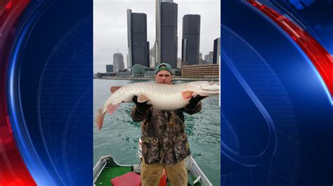 huge fish caught  detroit river  renaissance center
