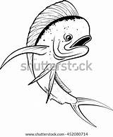 Mahi Vector Illustration Coloring Fish Pages Shutterstock Template Dolphin sketch template