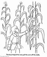 Coloring Pages Thanksgiving Harvest Pilgrim Pilgrims Corn Story Bible Stalk History Drawing Color Printables Getdrawings Stalks Clipart Library Kids Dot sketch template