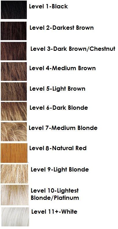 hair levels chart hair chart hair color techniques hair level chart