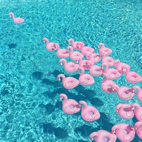 Pink Flamingo Floating Drink Holders Summer Of Love