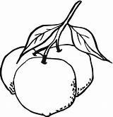 Jeruk Mewarnai Terbaru Sayuran Cabai sketch template