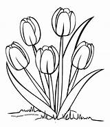Bunga Mewarnai Tulip sketch template