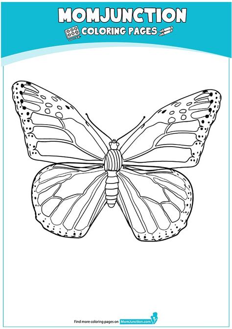print coloring image momjunction butterfly coloring page coloring