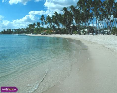 Cheap Hotels Boca Chica Dominican Republic Purple Travel