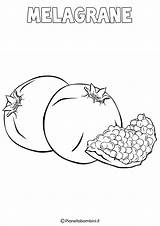 Frutta Invernale Pianetabambini Stampare Verdura Melagrane Autunno Cachi Estiva Inverno Frutti Autunnale Arancia Articolo Primaverile Donna sketch template