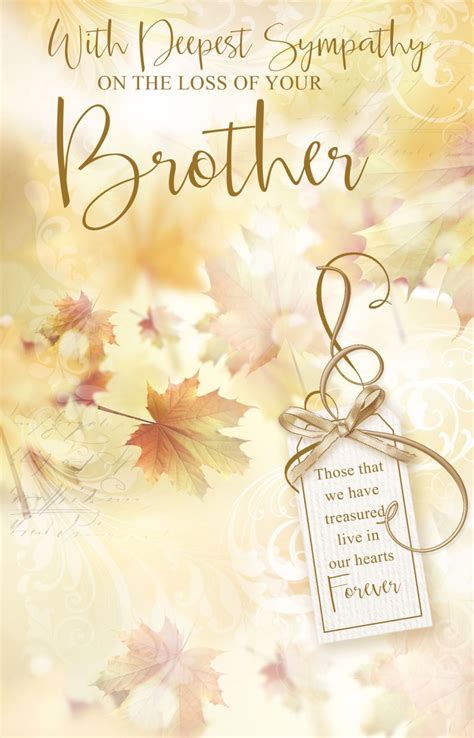 sympathy card messages for loss of brother