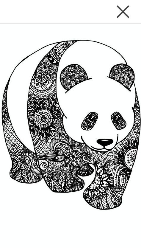 pandas images panda art panda bear cute panda