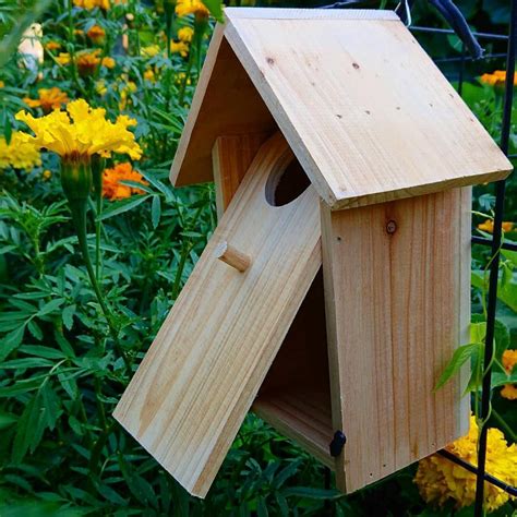 bird nesting box small  seed collection
