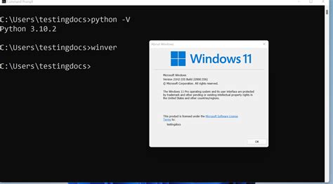 install python  windows  testingdocscom