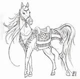 Coloring Horses Tack Arab Ceremonial Carousel 1384 Visiter Cheval sketch template