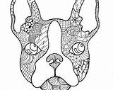 Coloring Bulldog French Pages Frenchie Printable Color Part Zentangle Getcolorings Et Getdrawings Line Drawing Animals Template Dog sketch template