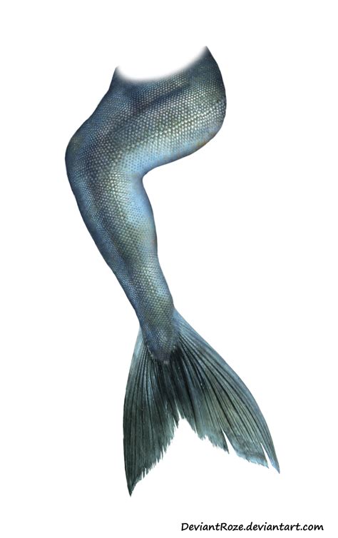 mermaid tail   deviantroze  deviantart