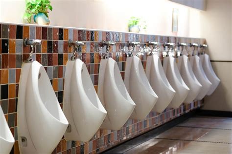 queues  womens toilets  longer  mens   science page    female