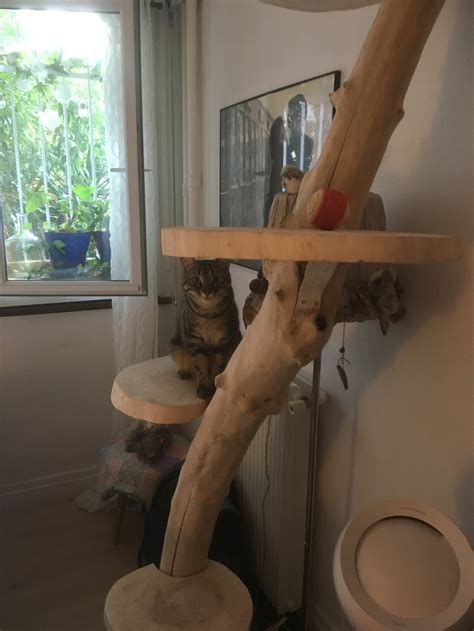 driftwood cat tree etsy