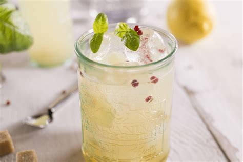 super lemon cocktail  galvanina