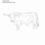 Coloring Longhorn Bull Cattle Color Line Drawings Pages Designlooter Printable Own sketch template
