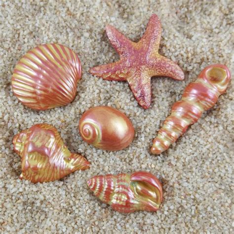 good claymates seashells