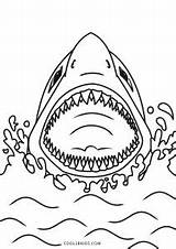 Shark Hai Cool2bkids Malvorlagen sketch template