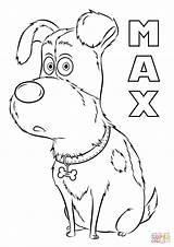 Pets Coloring Secret Life Pages Max Color Print Kids Printable Characters Underwood Carrie Drawing Dog Animal 1060 08kb 1500px sketch template