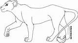 Lion Female Outline Drawing Drawings Outlines Adult Getdrawings Paintingvalley sketch template