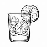 Gin Tonic Clipartmag Colourbox Cotton Illustrations Vektor Alkohol Vektorgrafik sketch template