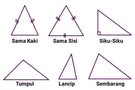 ciri ciri segitiga  jenis jenis segitiga pulpent