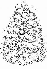 Christmas Colorat Craciun Natale Colorare Impodobit Planse Desene Bradul Sfatulparintilor Sapin sketch template