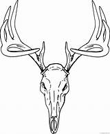 Deer Skull Drawing Clip Coloring Pages Mount Head Buck European Clipart Printable Svg Vector Coloring4free Mule Reindeer Transparent Graphics Tracks sketch template