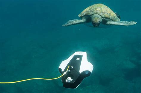 navatics mito  uhd drone  aquatic videography arrives  march  jose antunes provideo