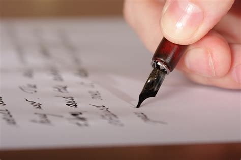 letter writing  memoir anne wainscott