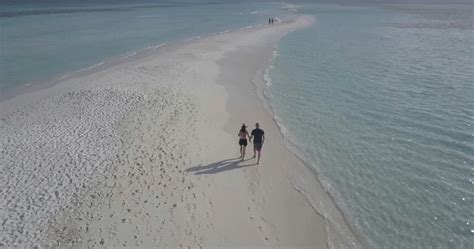 stock video  beach couple drone footage