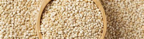 quinoa  super food top  facts  quinoa aahaar expert