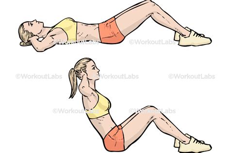 sit ups workoutlabs exercise guide