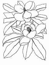 Bloemen Colorare Magnolia Disegni Blumen Flores Fiore Ausmalbilder Malvorlagen Rosen Fleurs Mewarnai Animasi Animaatjes Bergerak Blumenranken Gify Malvorlage Kinder Ludinet sketch template