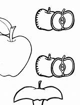 Coloring Apples Pages Fruits Apple sketch template
