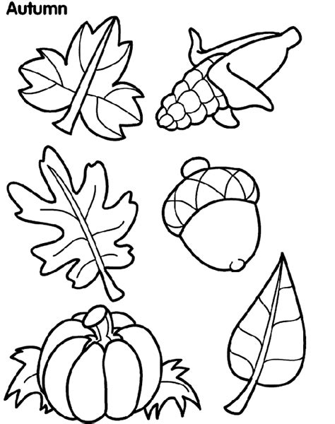 gambar autumn leaves coloring page crayola pages toddlers  rebanas