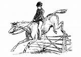 Paard Caballo Jinete Kleurplaat Ruiter Reiter Pferd Cavallo Cavalier Kleurplaten Malvorlage Cavallerizzo Paarden Printen Pferde Schoolplaten Springend Malvorlagen sketch template