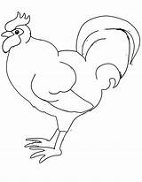 Rooster Clip Clipart Clipartix Cliparts Related Cartoon Library sketch template