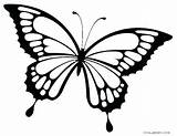 Butterfly Outline Clipart Drawing Line Clipartmag sketch template