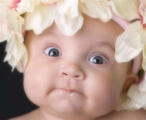 cute babies wallpapers stock  images