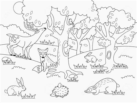 awesome forest coloring pages   cartoon coloring pages animal
