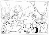 Animali Colouring Woodland Noir Kids Kidspressmagazine Tiere Schwarzweiss Nel Scenes sketch template