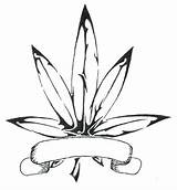Leaf Coloring Pot Pages Marijuana Getcolorings Getdrawings Printable sketch template