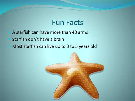 starfish powerpoint    id