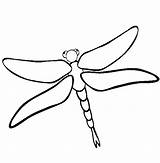 Dragonfly Coloring Pages Cute Printable Insect Clipart Drawing Dragon Fly Animal Color October Kids Animals Print Cartoon Drawings Cliparts Clipartbest sketch template