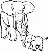 Elephant Coloring Pages Baby Animals Drawing African Kids Their Mother Babies Mom Cute Animal Zoo Care Elephants Cartoon Printable Color sketch template